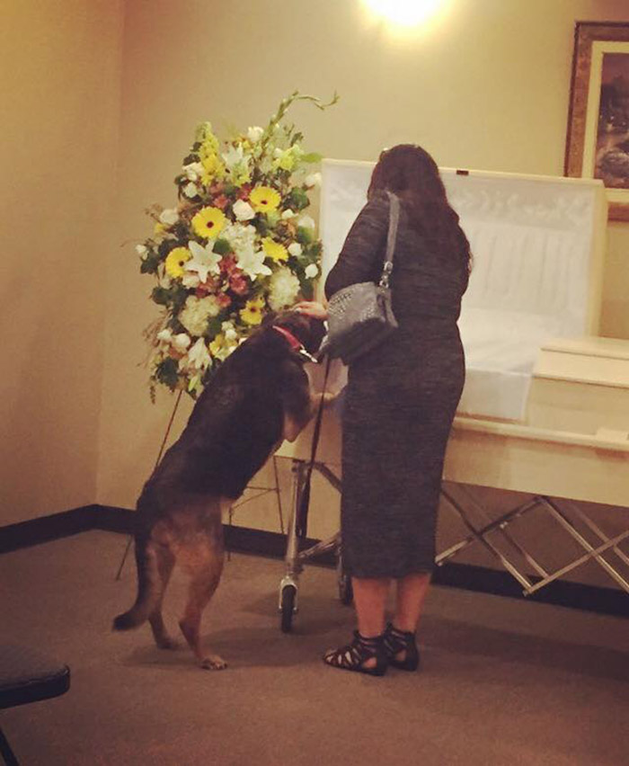 Un perro atiende el funeral de su dueño. 