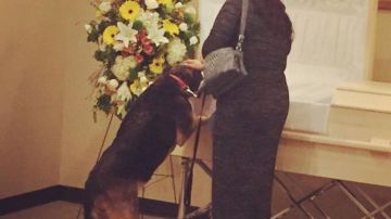 Un perro atiende el funeral de su dueño.