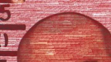 Olivia, Mía y sus esposos ayudaron a la captura del narcotraficante.