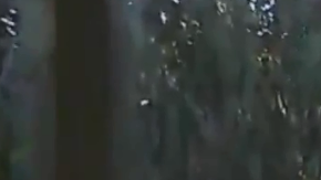 El terrible accidente tuvo lugar el miércoles por la noche.