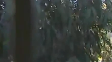 El terrible accidente tuvo lugar el miércoles por la noche.