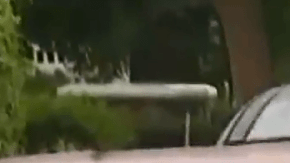 Varios autos han sufrido daños importantes.