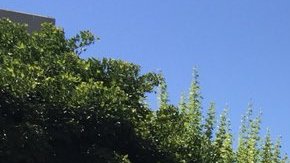 Bomberos y paramédicos en el lugar de la explosión en Aliso Viejo.