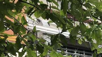 La pareja vivía en 1480 Flatbush Avenue