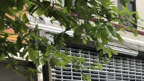 La pareja vivía en 1480 Flatbush Avenue