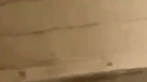 Durante la persecución, los sospechosos empezaron a arrojar dinero por las ventanillas.