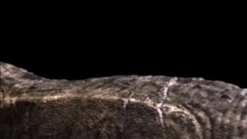 La nueva actuación ofrecerá "dinosaurios nunca antes vistos, narración mejorada..."