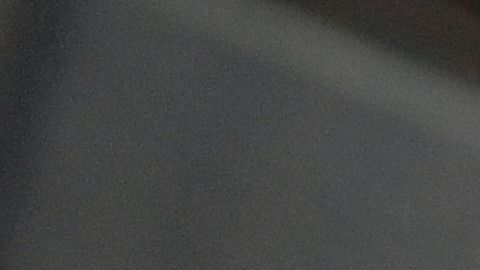 “Doggie”, residente de San Francisco, se manifiesta contra el veto migratorio del presidente Trump.