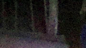 Mueren tres militares en emboscada en Guerrero.