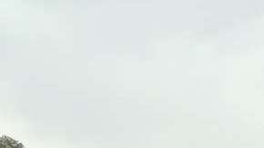 López Obrador lidera todas las encuestas camino a la Presidencia de México.