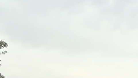 López Obrador lidera todas las encuestas camino a la Presidencia de México.