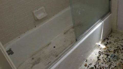 Imágenes revelan las condiciones que sufrieron los niños.