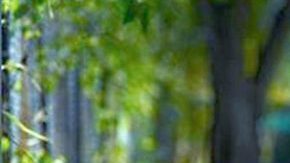 Zelina Vega, luchadora profesional y cosplayer.