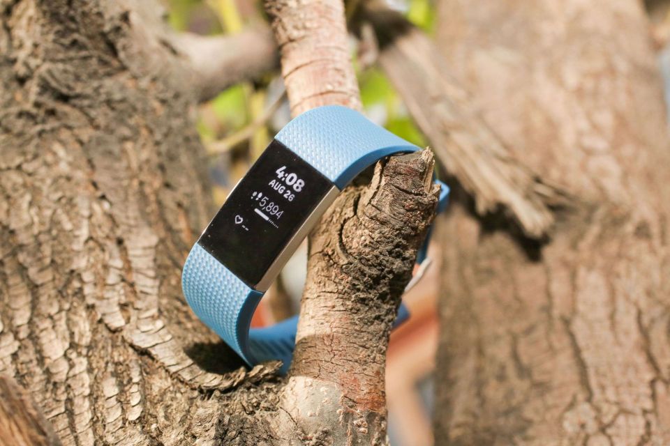 fitbit cnet