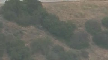 El incendio quemó hierba a lo largo de la autopista 405.