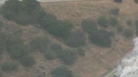 El incendio quemó hierba a lo largo de la autopista 405.