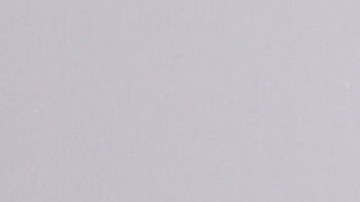 Allegados a Vanessa dicen que exigirá una buena parte de la fortuna de Trump Jr.