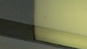 El gobierno no decide aumentar el número de visas temporales de trabajo para 2018