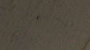 Mexicanos en Estados Unidos.