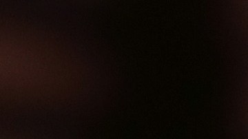 Arpaio busca posicionarse como el candidato Trump para el Senado