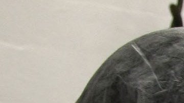 Proponen modificar las visas H2-C para poder contratar a trabajadores agrícolas extranjeros por hasta tres años