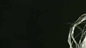 Trump busca restringir la entrada a inmigrantes legales