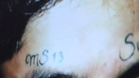 Autoridades federales y locales mantienen una cruzada contra la MS-13
