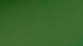 Reportan que cada vez menos Melania habla o pasa tiempo privado con Trump