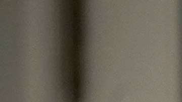 Barron Trump tiene pocas apariciones públicas.