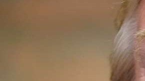 El nuevo defensor legal de Trump no deja de meterlo en problemas