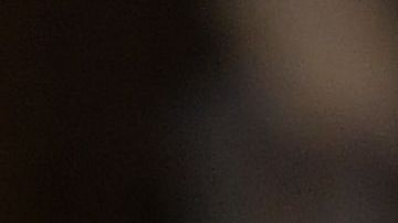 Ni en Twitter Trump fue capaz de felicitar a Melania