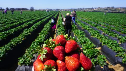 California es la quinta economía del mundo.