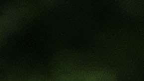 El presidente Trump ha bloqueado en Twitter a quienes critican sus políticas