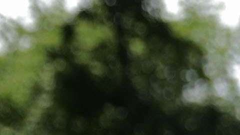 La cumbre se llevará a cabo este 12 de junio en Singapur