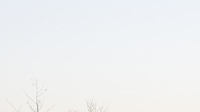 Aquí es posible tener licencia si vives ahí.