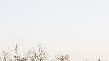 Aquí es posible tener licencia si vives ahí.