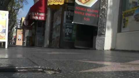 El incidente tuvo lugar en frente de una tienda de regalos cerca de la intersección de Hollywood Boulevard y Whitley Avenue.