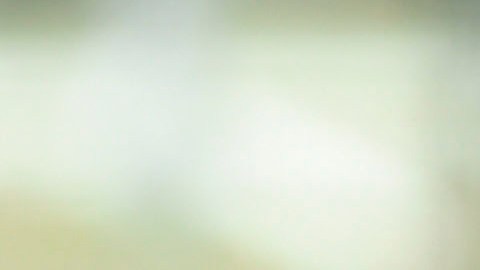 Juan Carlos Osorio se reunió con Rafa Márquez en Guadalajara
