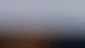 Javier "Chicharito" Hernández ya tiene nuevo técnico en el West Ham