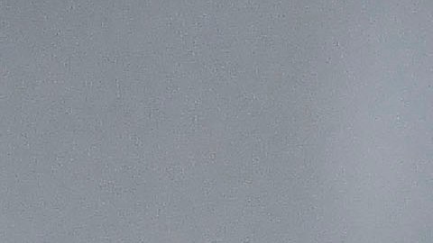 Javier "Chicharito" Hernández reforzaría a Chivas los próximos seis meses