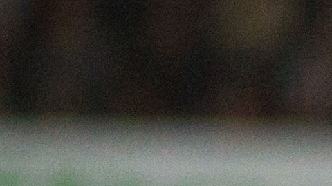 Toluca recibe a Xolos con una desventaja 1-2 en el marcador global