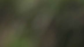 Rafa Márquez estrenó en Internet la película de su vida