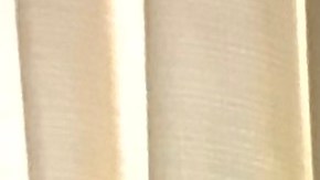 El expresidente de México, Vicente Fox, asegura que Trump es un "caballo salvaje" y un "tipo que está medio loco".