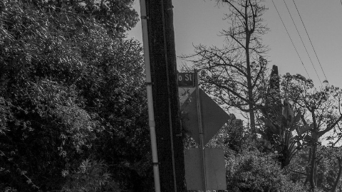 Baxter Street es la tercera calle más empinada de L.A.