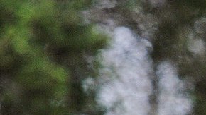 La jirafa que falleció procedía de Angola y tenía 11 años.