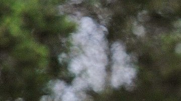 La jirafa que falleció procedía de Angola y tenía 11 años.