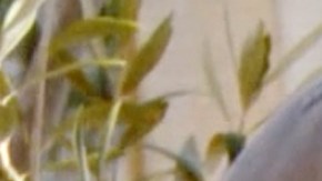 Juan Rivera y Johnny