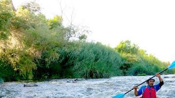 Varias organizaciones alquilan equipos de kayak.