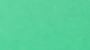 ¿Listo para ir de compras?