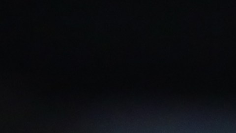 América y Morelia se enfrenatan en el Avaya Stadium, en el Ärea de la Bahía de San Francisco.